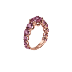 Anillo Batlló.