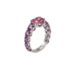 Anillo Batlló - Imagen 10
