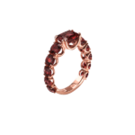 Anillo Batlló - Imagen 6