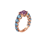 Anillo Batlló - Imagen 8