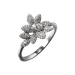 Anillo Andromeda