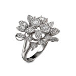 Anillo Andrómeda