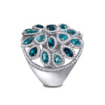 Anillo Borealis